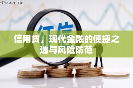 成武信用贷，现代金融的便捷之选与风险防范