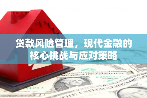 成武贷款风险管理，现代金融的核心挑战与应对策略