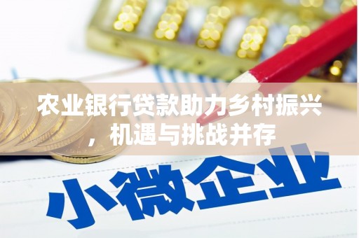 成武农业银行贷款助力乡村振兴，机遇与挑战并存