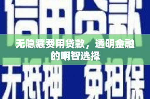 成武无隐藏费用贷款，透明金融的明智选择