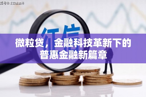 成武微粒贷，金融科技革新下的普惠金融新篇章