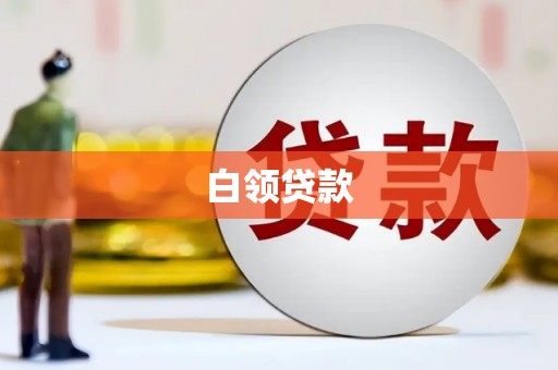 成武白领贷款