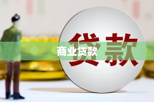 成武商业贷款