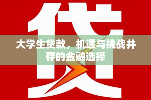 成武大学生贷款，机遇与挑战并存的金融选择