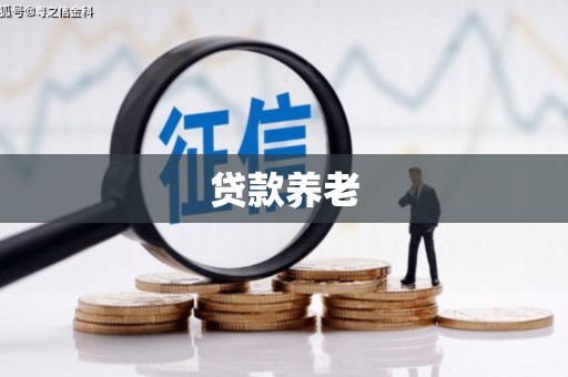 成武贷款养老