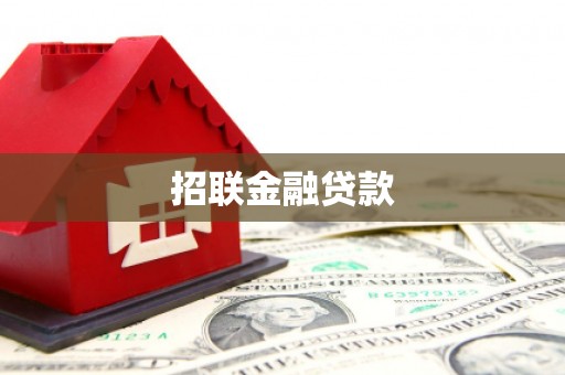 成武招联金融贷款