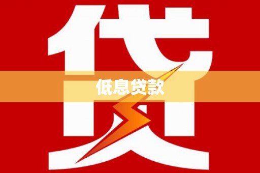 成武低息贷款