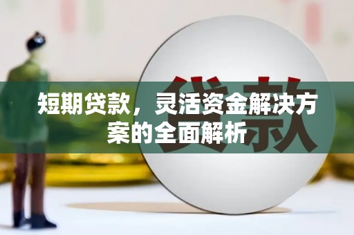 成武短期贷款，灵活资金解决方案的全面解析