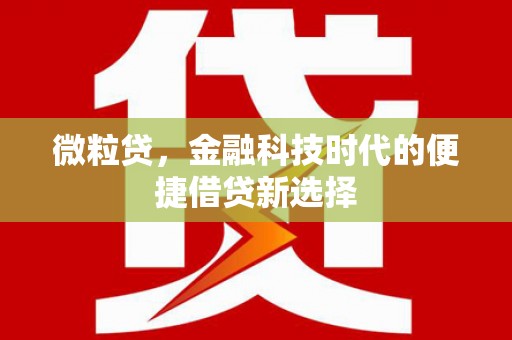 成武微粒贷，金融科技时代的便捷借贷新选择