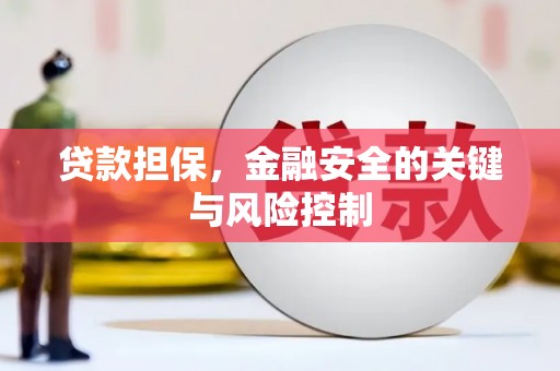 成武贷款担保，金融安全的关键与风险控制