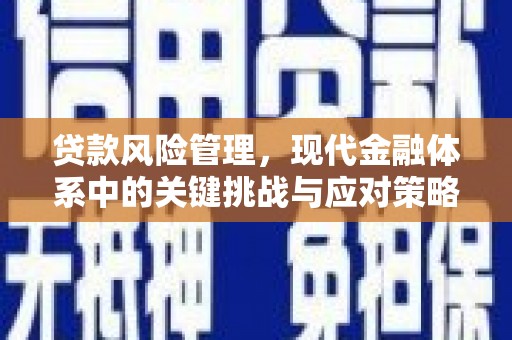 成武贷款风险管理，现代金融体系中的关键挑战与应对策略