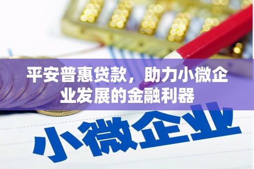 成武平安普惠贷款，助力小微企业发展的金融利器