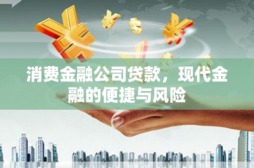 成武消费金融公司贷款，现代金融的便捷与风险