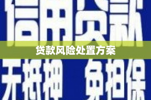 成武贷款风险处置方案