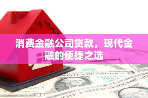 成武消费金融公司贷款，现代金融的便捷之选