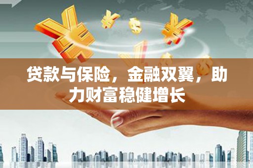 成武贷款与保险，金融双翼，助力财富稳健增长