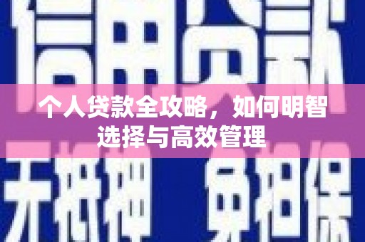 成武个人贷款全攻略，如何明智选择与高效管理