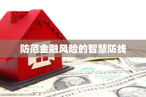 成武防范金融风险的智慧防线