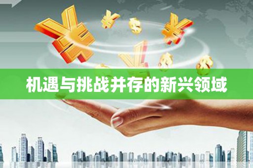 成武机遇与挑战并存的新兴领域