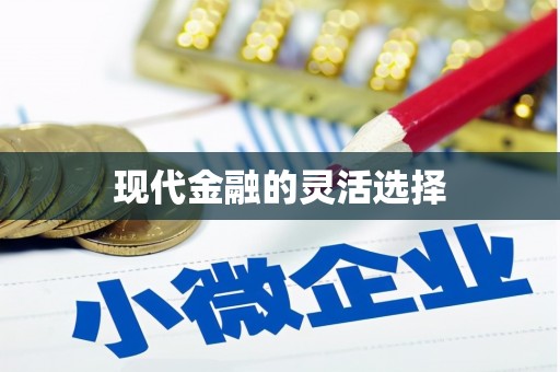 成武现代金融的灵活选择