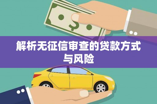 成武解析无征信审查的贷款方式与风险