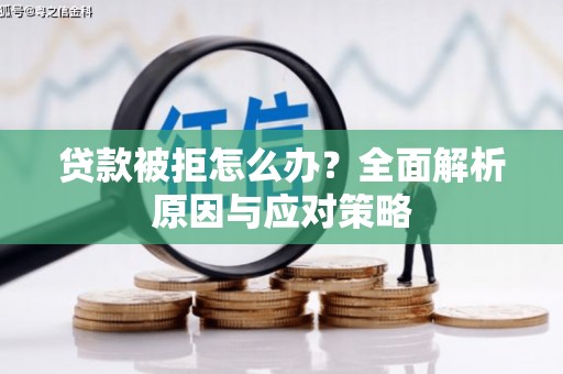 成武贷款被拒怎么办？全面解析原因与应对策略