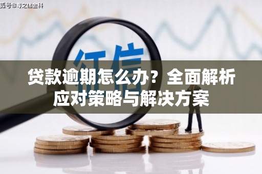 成武贷款逾期怎么办？全面解析应对策略与解决方案