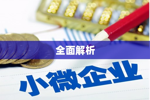 成武全面解析