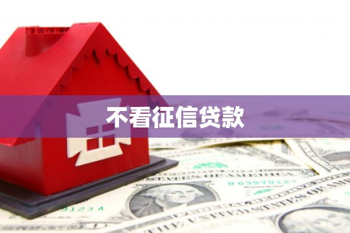 成武不看征信贷款