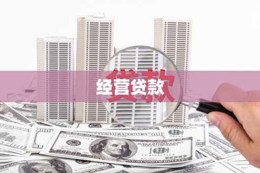 成武经营贷款