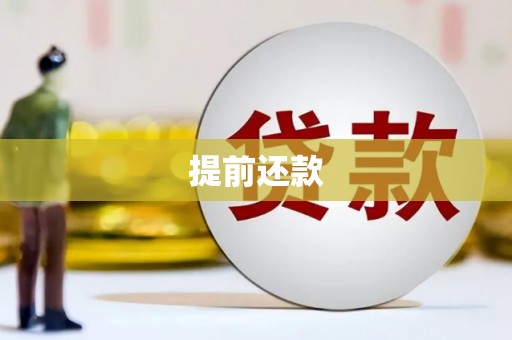 成武提前还款