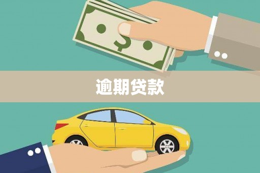 成武逾期贷款