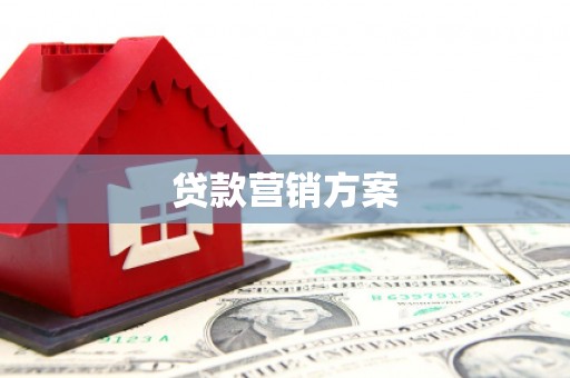 成武贷款营销方案